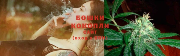 эйфоретик Аркадак