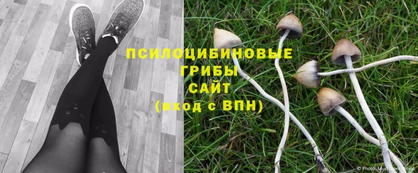 эйфоретик Аркадак