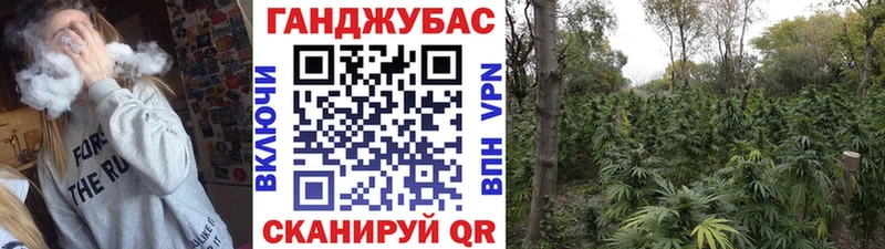 цена   Майский  Каннабис тримм 